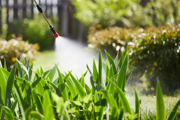 24/7 Emergency Mosquito Control experts in Loveland, OH