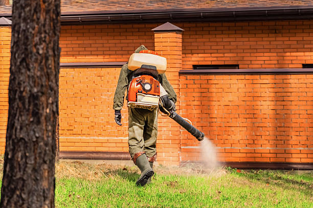 Top rated local Mosquito Control specialists in Loveland, OH